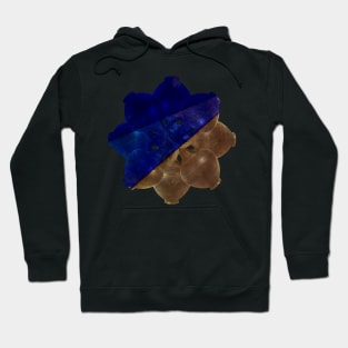 Jarring but beautiful, Bronze and Blue Hoodie